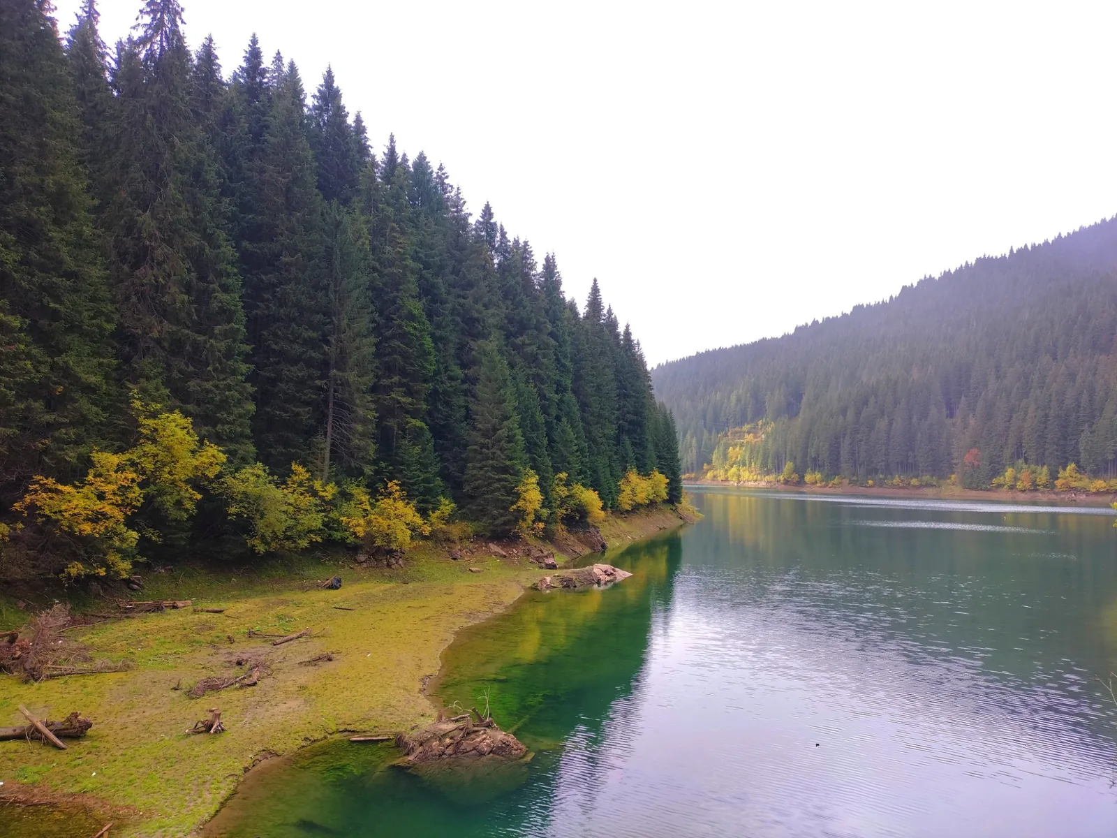 Carpates Diem — lac de Transylvanie